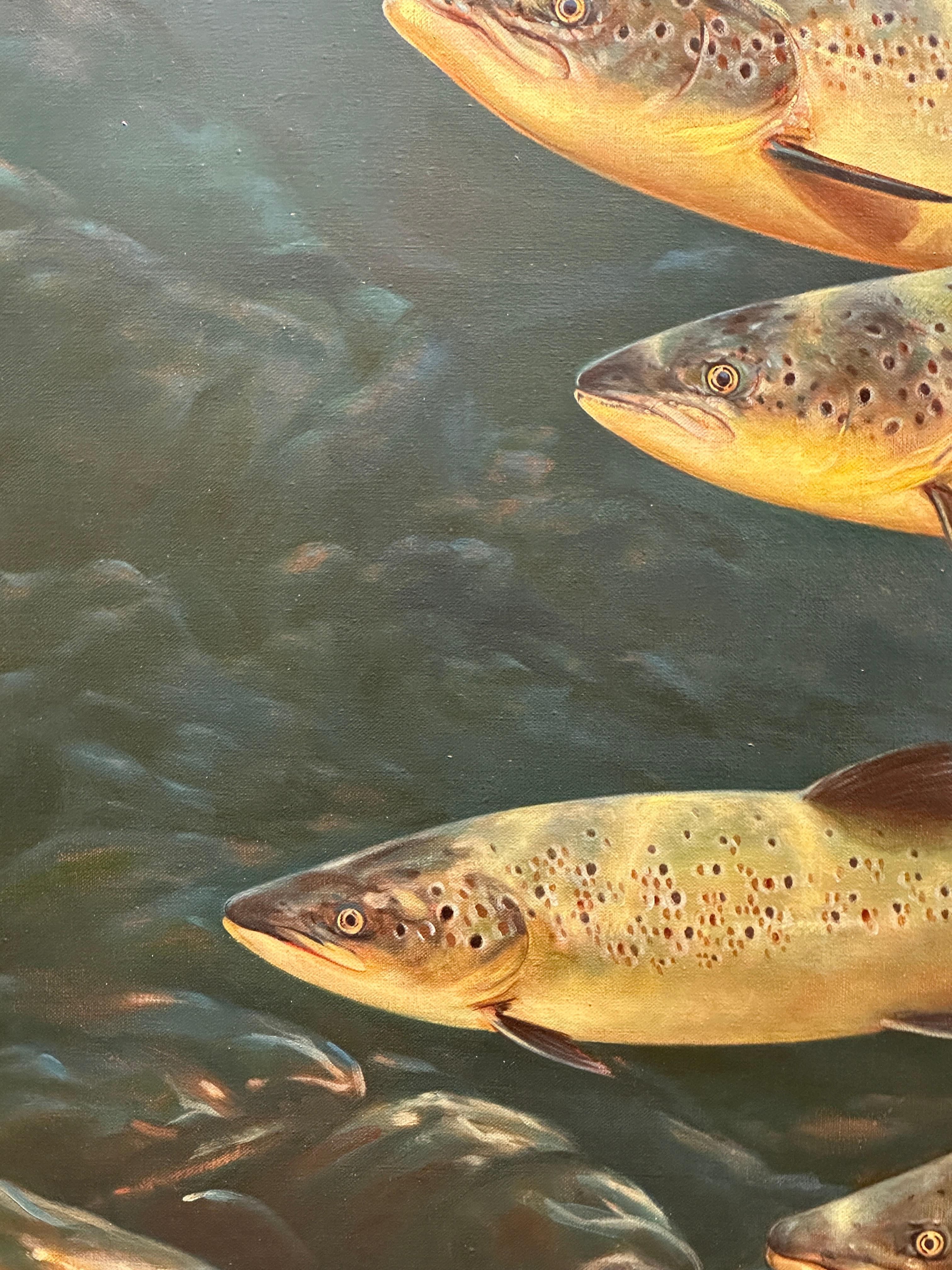 Late 20th English century study of Trout underwater swimming For Sale 1