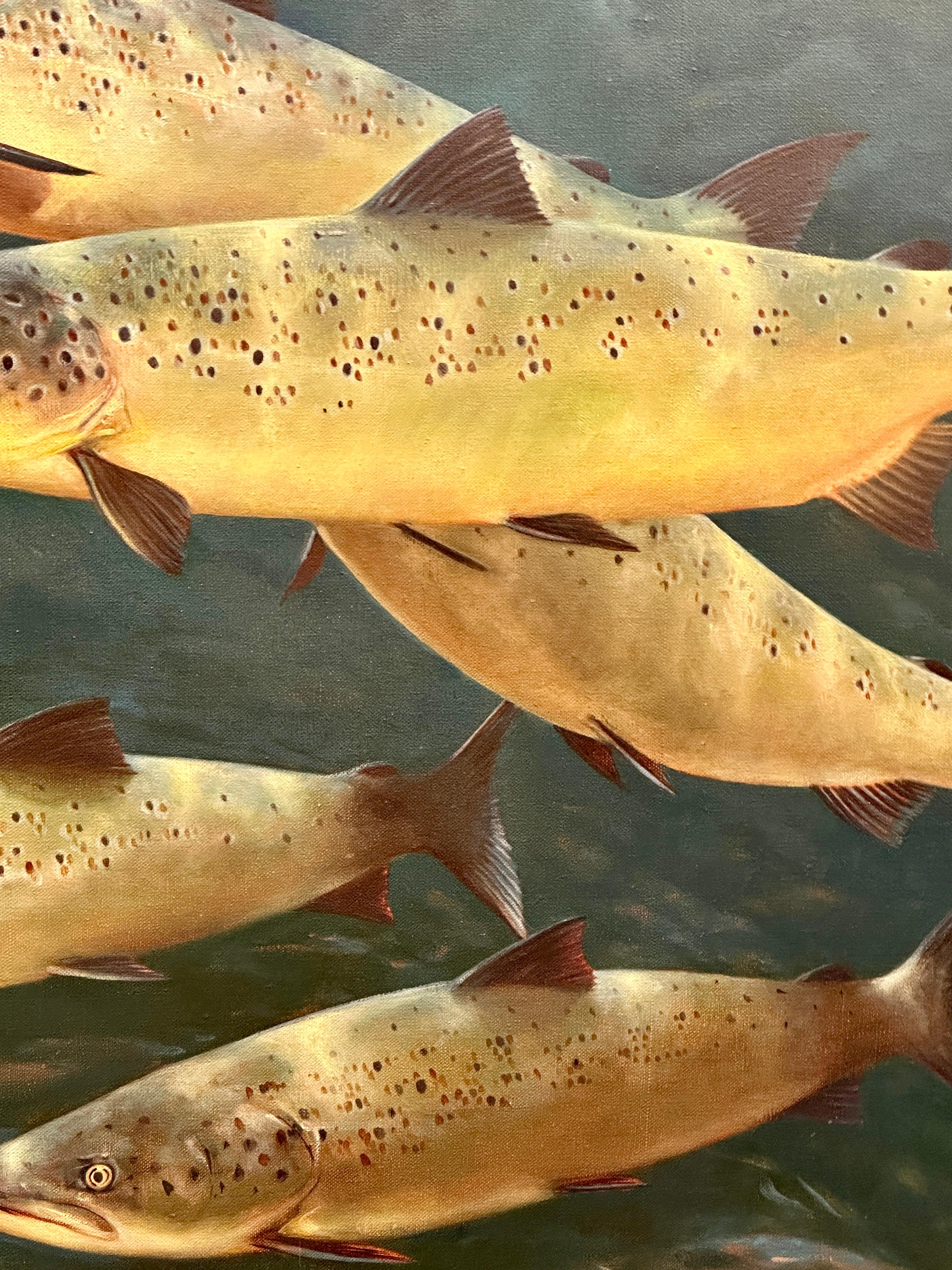 Late 20th English century study of Trout underwater swimming For Sale 2