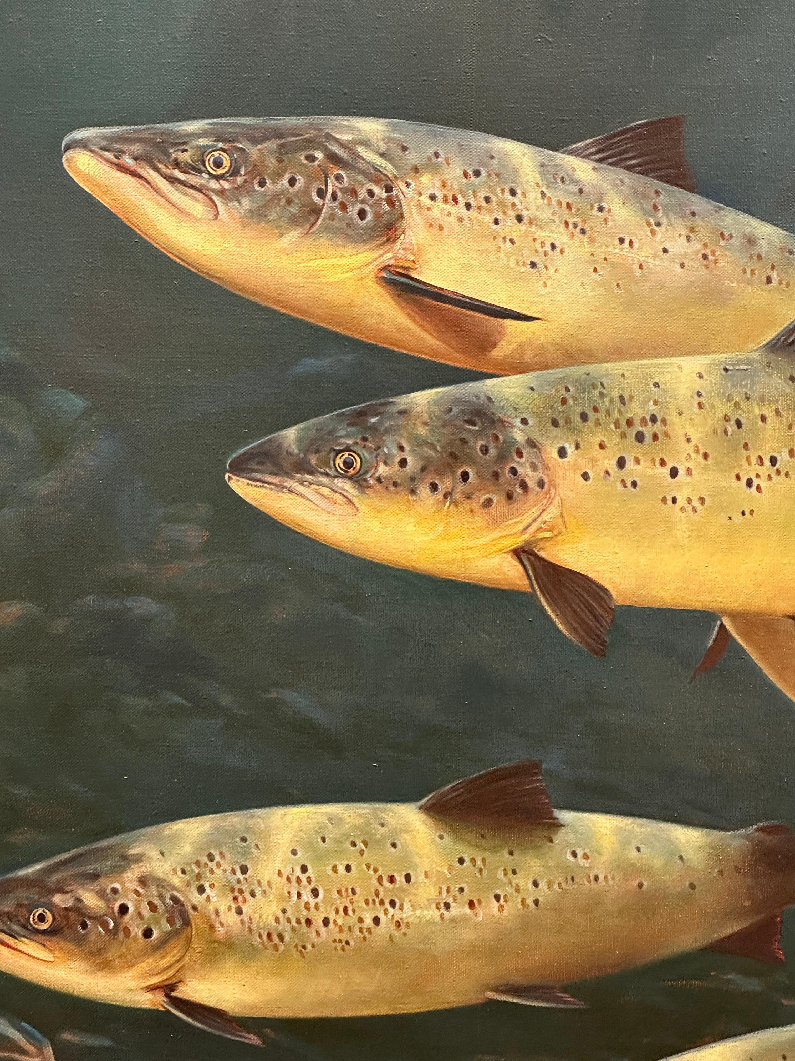 Late 20th English century study of Trout underwater swimming For Sale 4