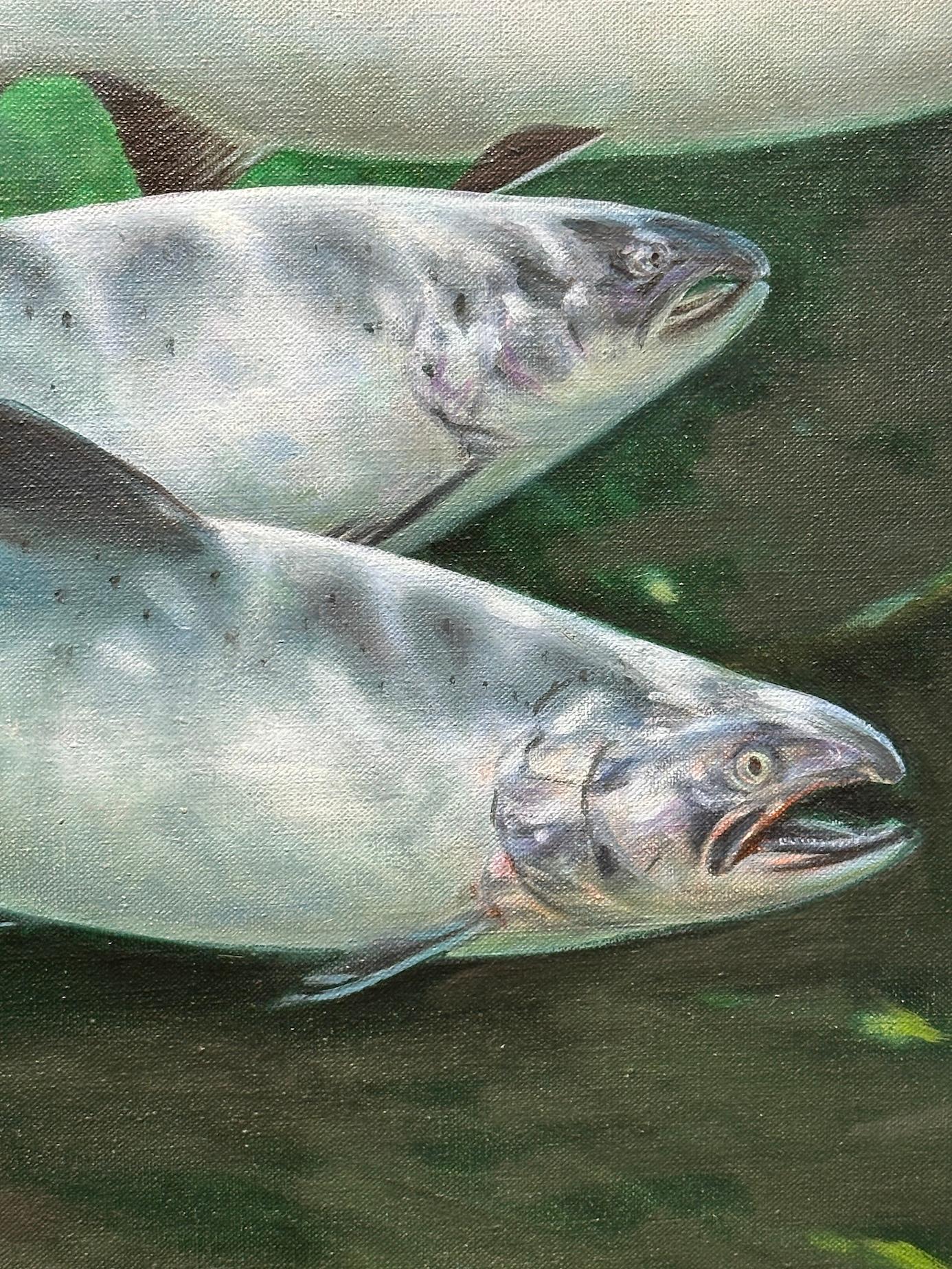 Underwater oil painting of Sun Dappled Trout swimming For Sale 5
