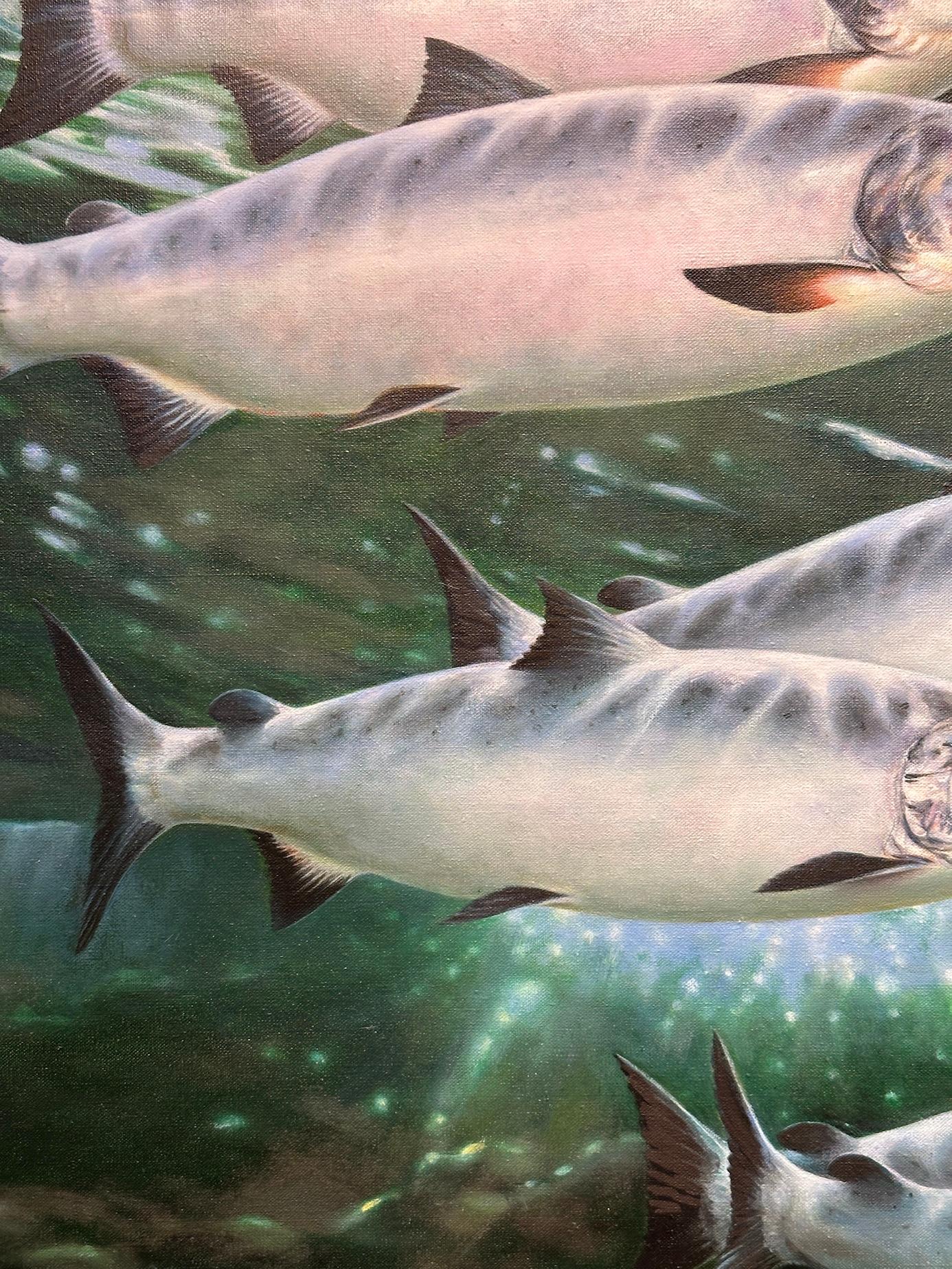 Underwater oil painting of Sun Dappled Trout swimming - Painting by Rod Sutterby