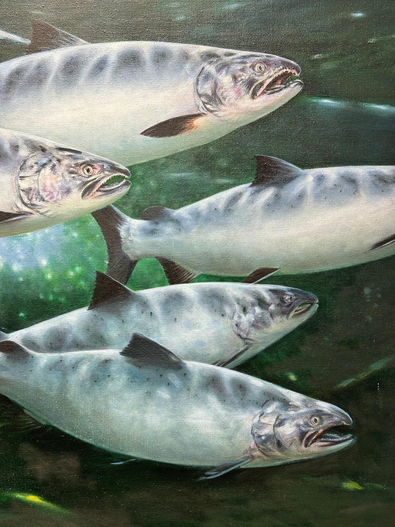Underwater oil painting of Sun Dappled Trout swimming For Sale 1