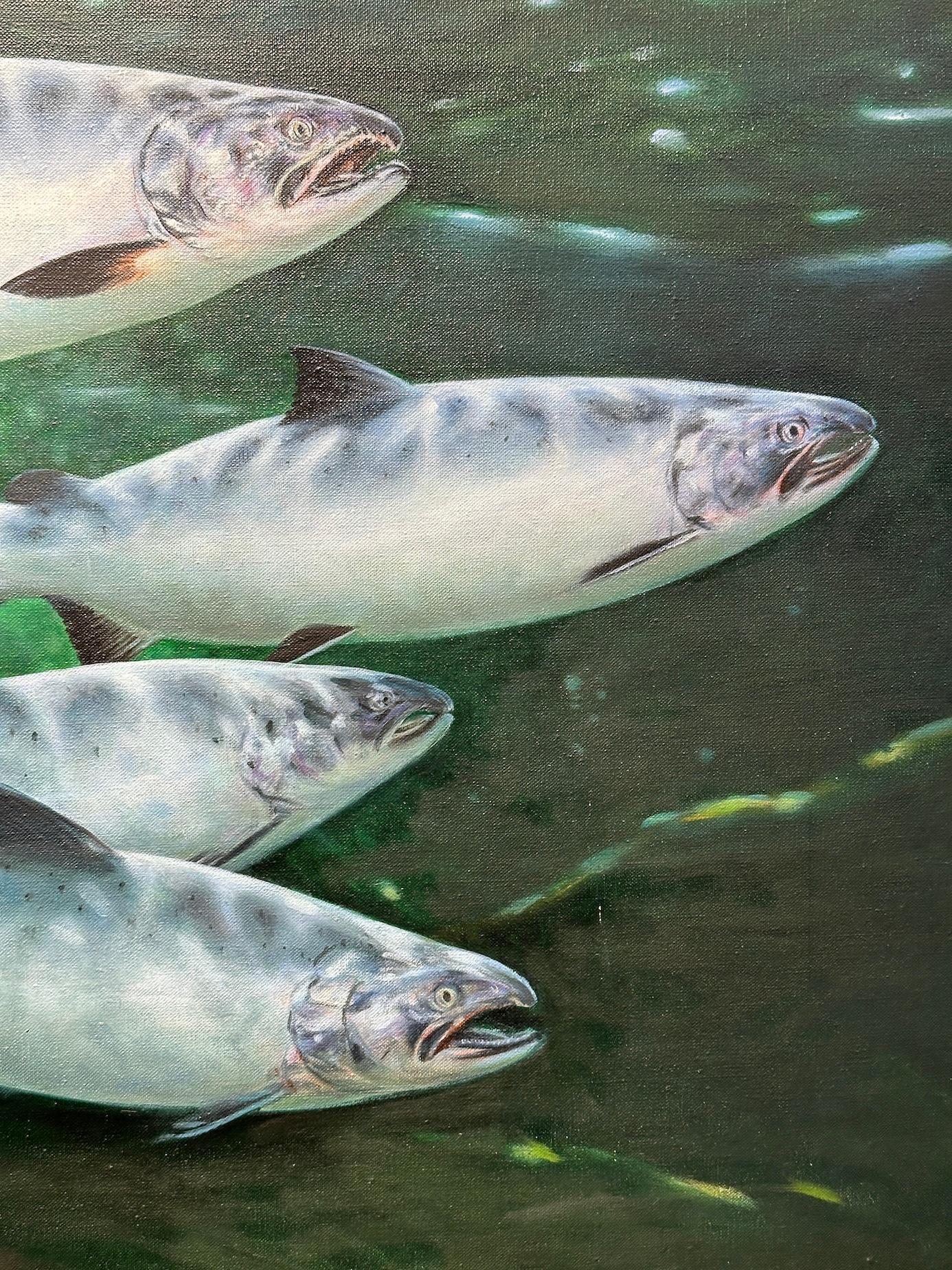 Underwater oil painting of Sun Dappled Trout swimming For Sale 4