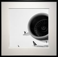 Reed perched on airplane wing, JFK, New York - 20 x 20 inches