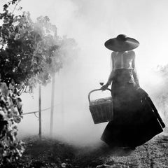Femme tenant une robe en train de marcher dans un vignoble - photo noir et blanc 101,6 x 101,6 cm