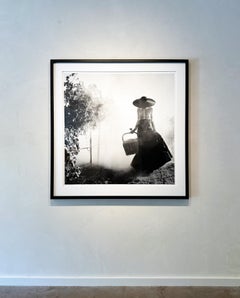 Woman Holding Up Dress Walking Through Vineyard, Napa Valley - FRAMED