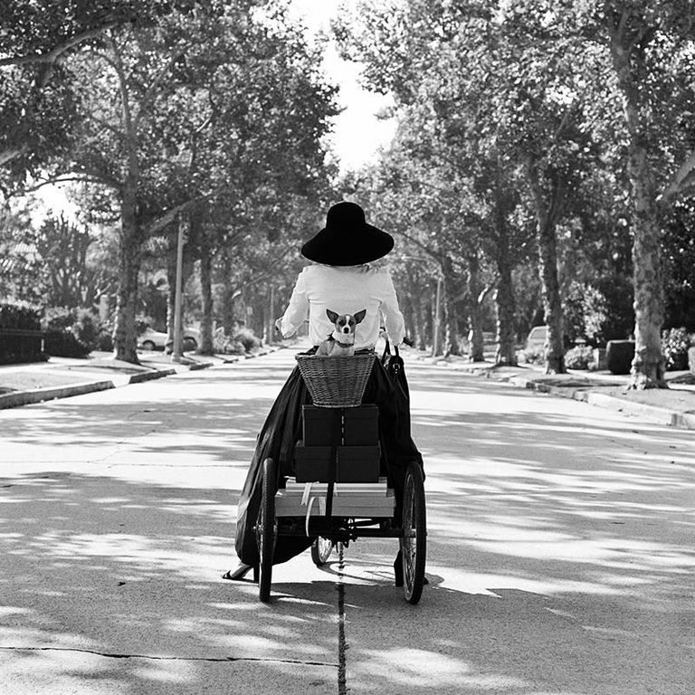 Rodney Smith Woman With Dog In Basket Beverly Hills Ca For Sale At 1stdibs