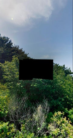 Diptych 4, from the series All the faults of the world, Printed on canvas
