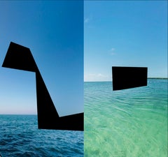 Diptych 5, from the series All the faults of the world, Printed on canvas