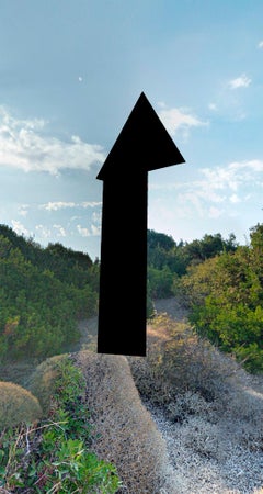 Diptychon 7, aus der Serie All the faults of the world, gedruckt auf Leinwand