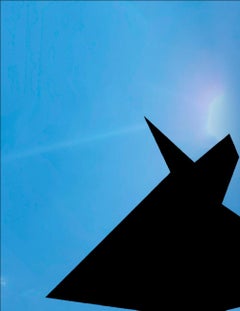 Falla 4, dalla serie Tutti i difetti del mondo, Stampa su tela