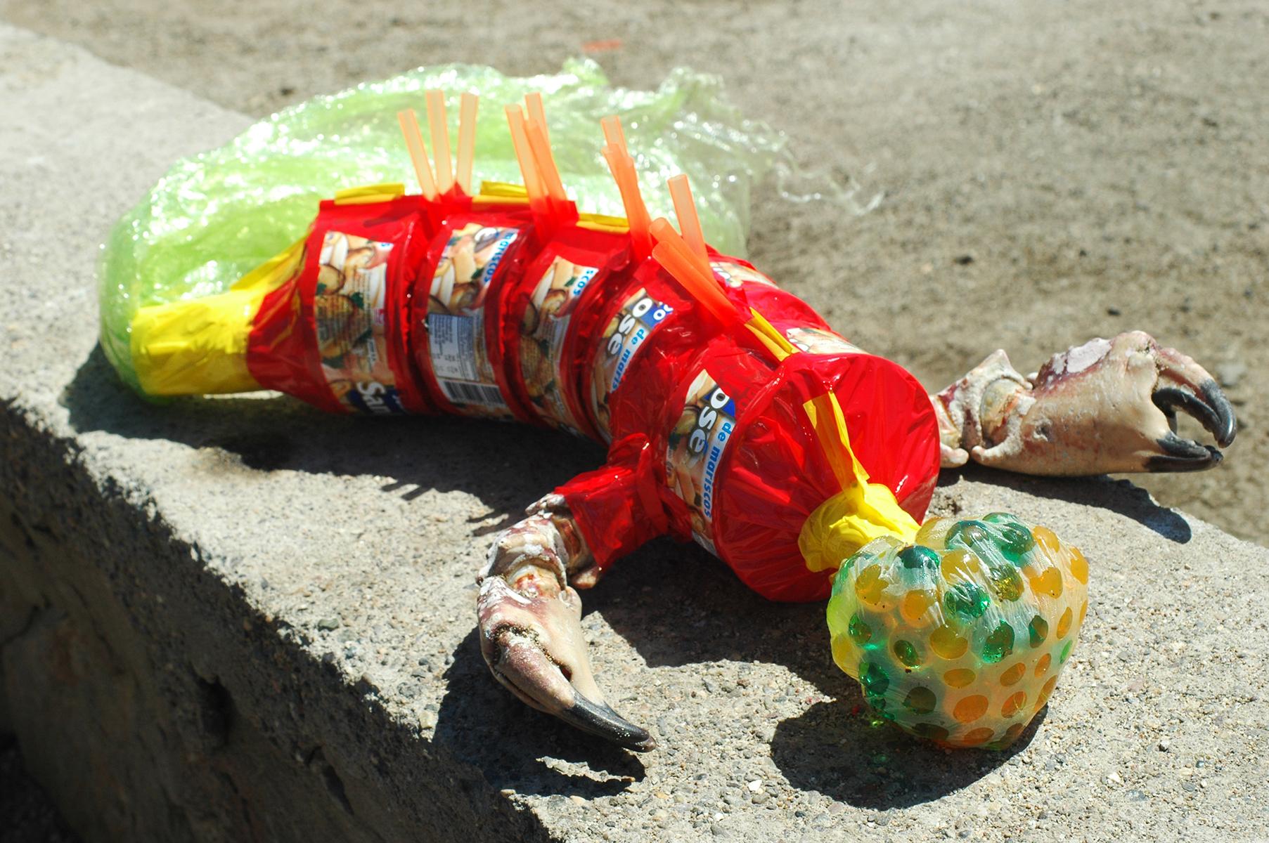 RODRIGO ETEM Still-Life Photograph - Lobster, From the series Ser Cosa, Color Photograph