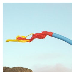 Memoriale, Dalla serie Ser Cosa, Fotografia a colori