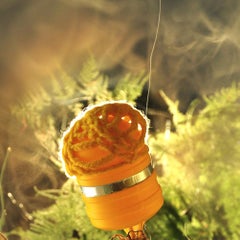 Untitled Succulent, From the series Ser Cosa, Color Photograph