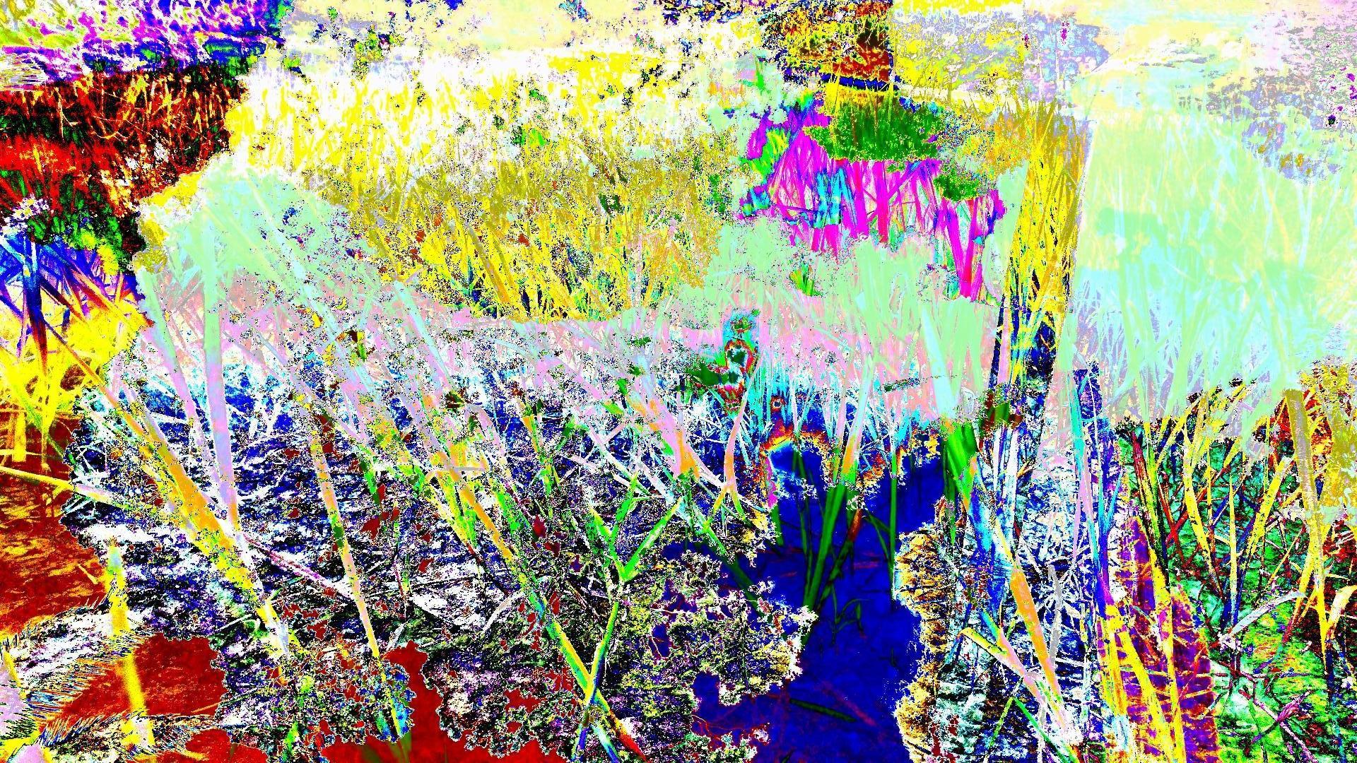 Abstract Photograph de Rodrigo Tamayo - Sombra Azul