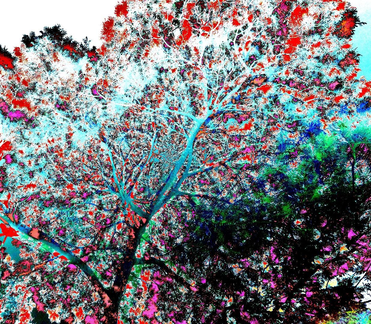 Figurative Photograph di Rodrigo Tamayo - Albero al neon