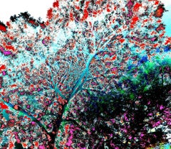 Neon Tree