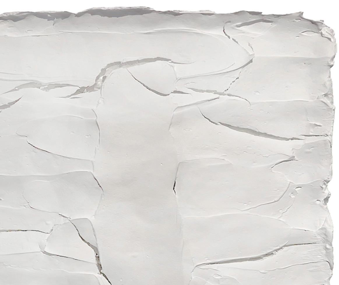 Ragisména series. Set of 2 wall Sculpture White M5, Abstract For Sale 1