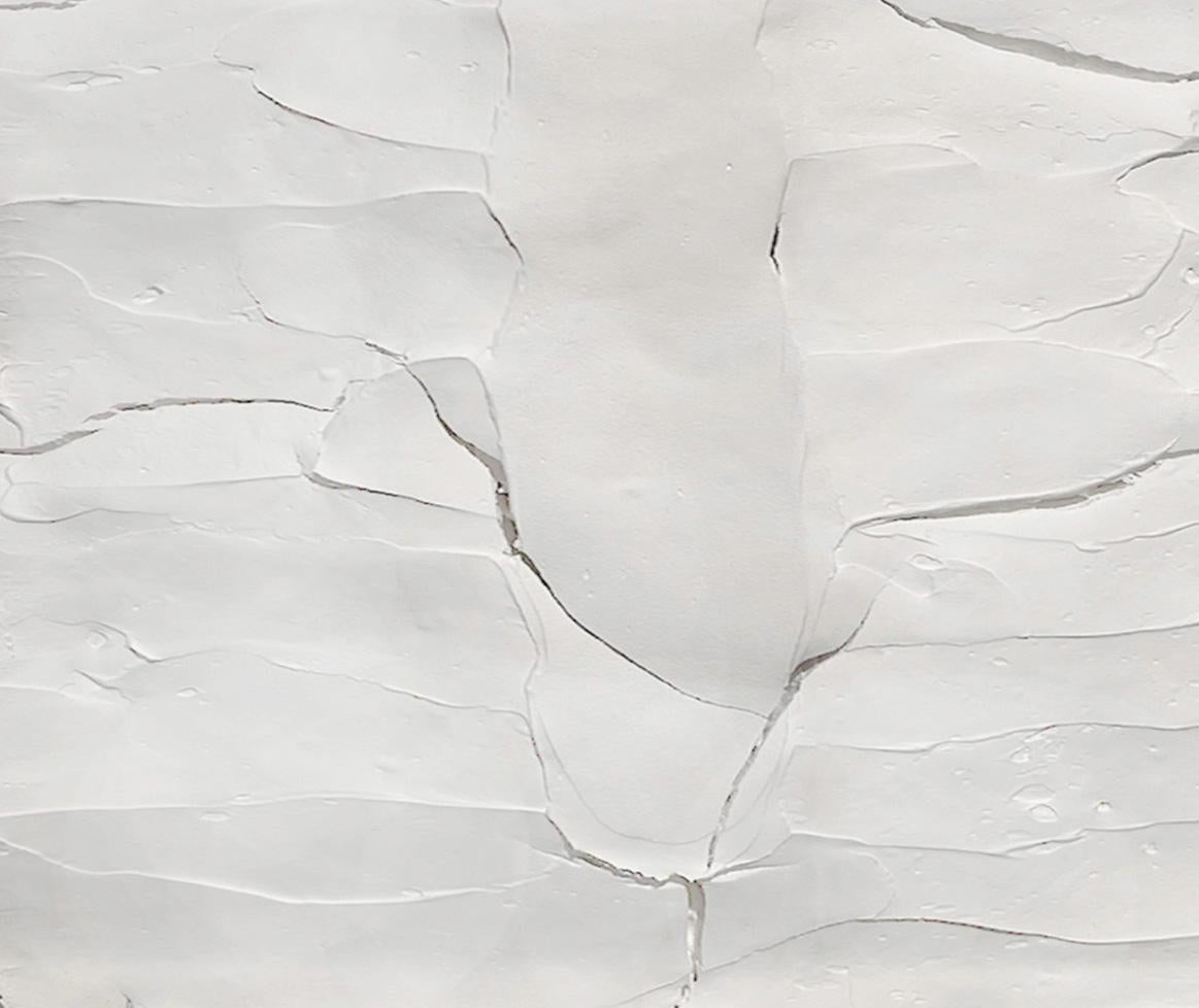Ragisména series. Set of 2 wall Sculpture White M5, Abstract For Sale 2