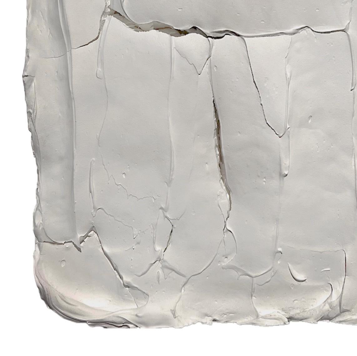 Ragisména Serie White M6, Abstrakte Wandskulptur (Grau), Abstract Sculpture, von Rodrigo Zuliani Hauck Zampol