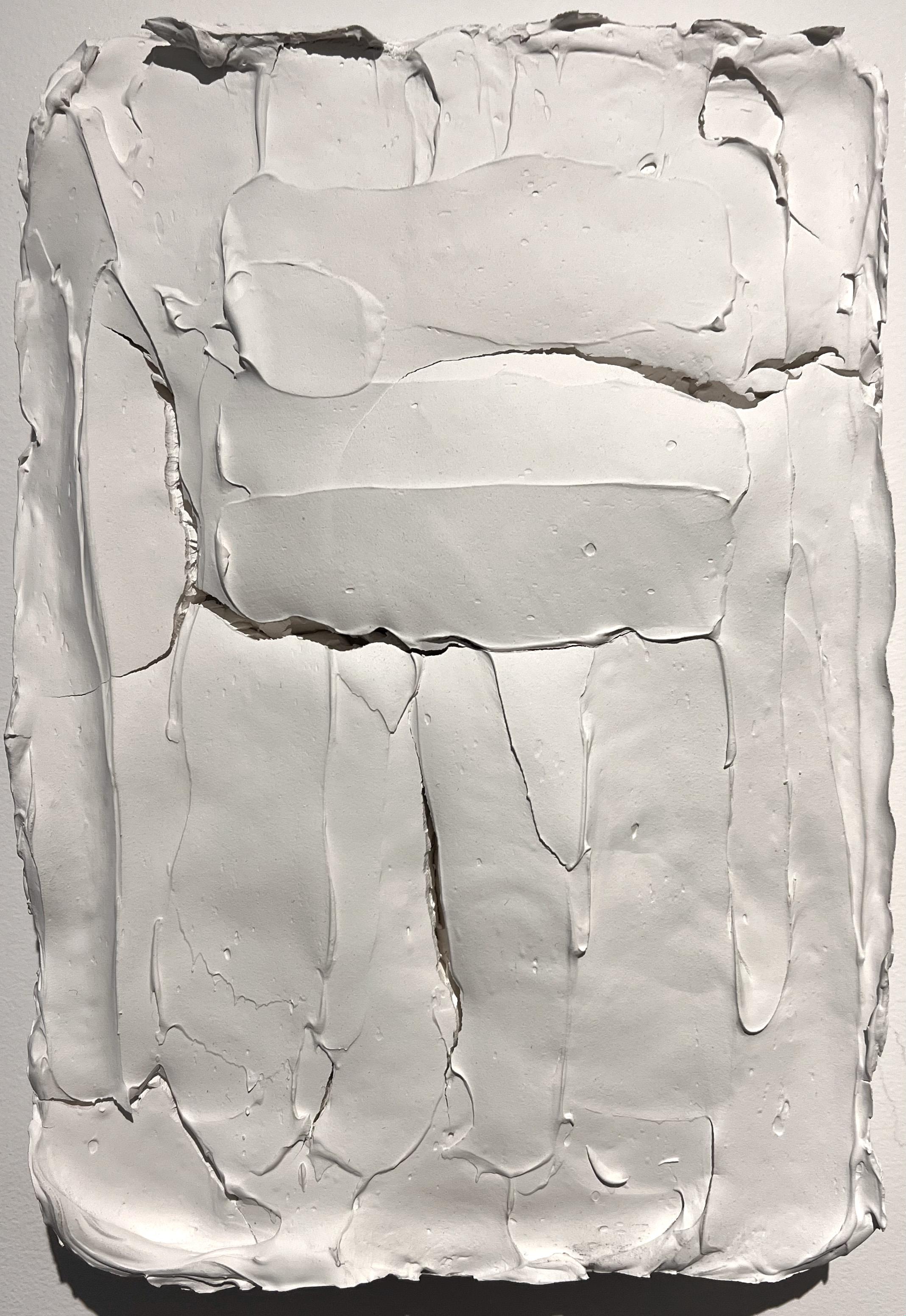 Abstract Sculpture Rodrigo Zuliani Hauck Zampol - Ragisména series White M6, Sculpture murale abstraite 