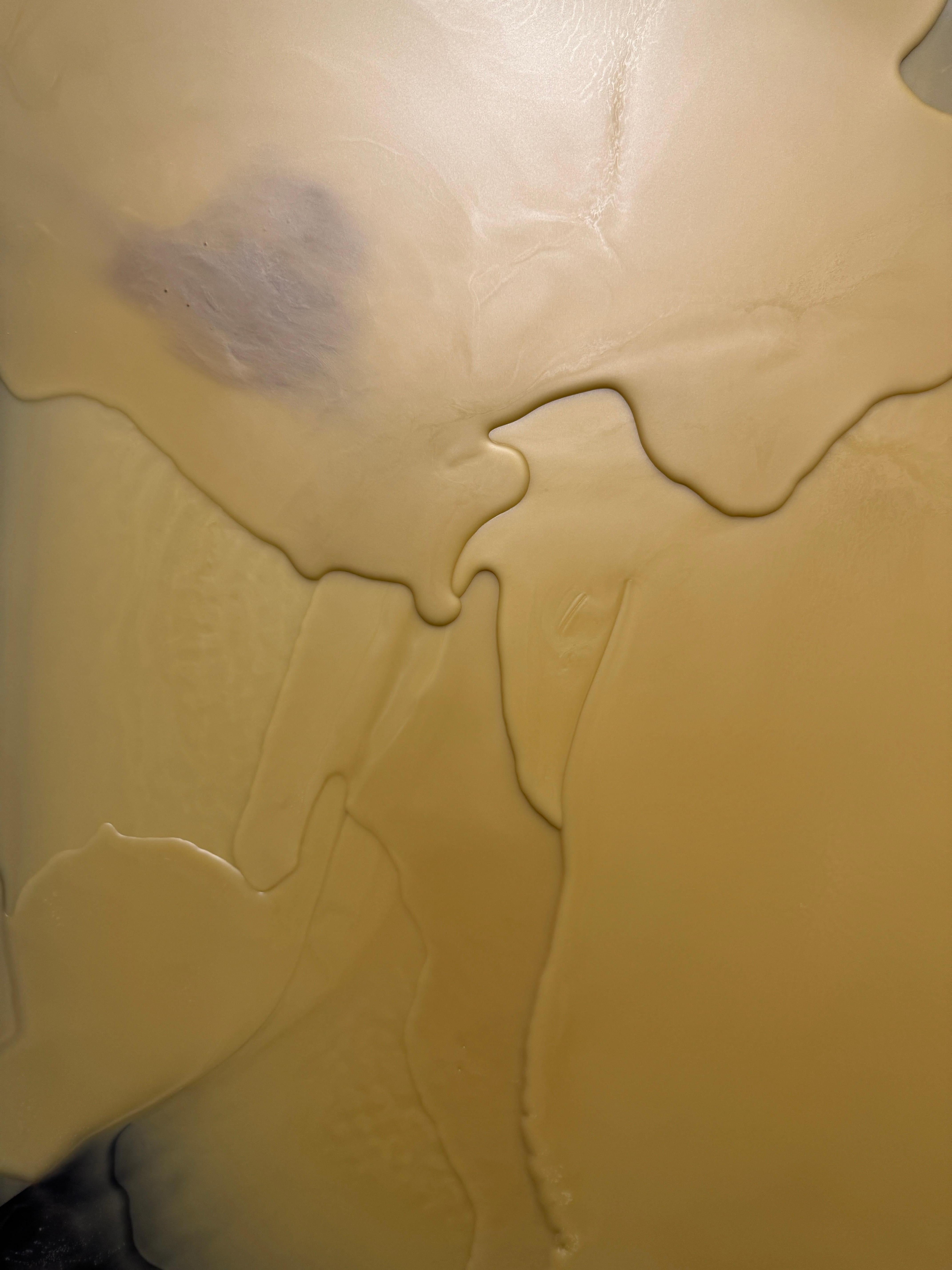 Untitled, Abstract Wall Sculpture - Painting by Rodrigo Zuliani Hauck Zampol