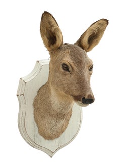 Roe Deer on Painted Shield