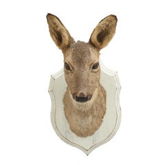 Vintage Roe Deer on Painted Shield