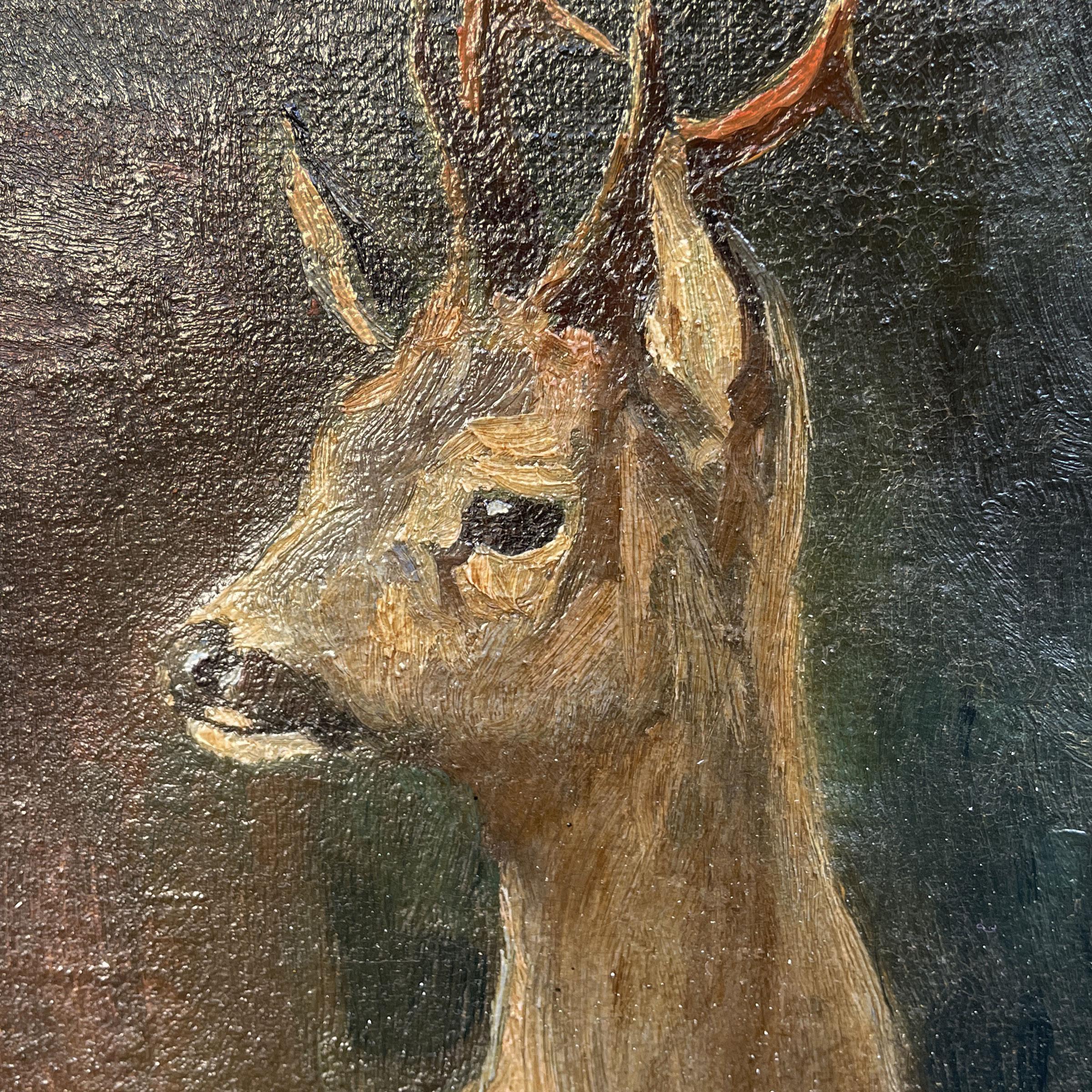Oiled Roe Deer Painting, Oil on Canvas, Otto Fickentscher, 1910