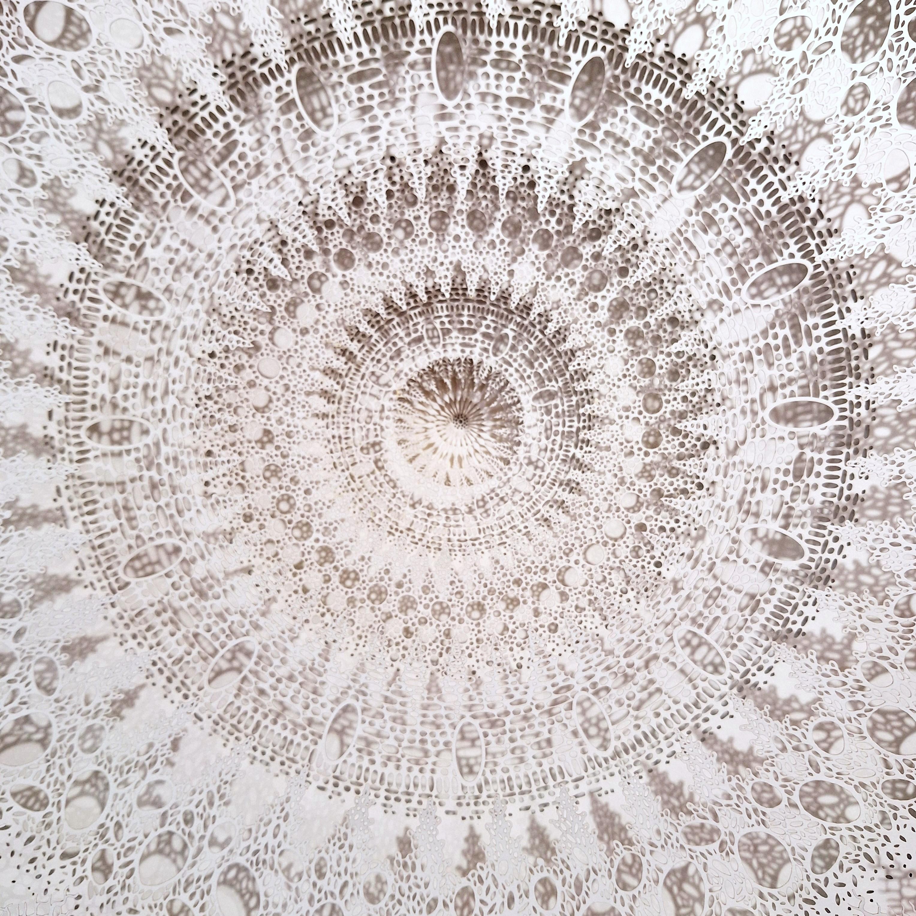 Mandala Variation II è una scultura moderna e unica in rilievo su carta dell'artista britannico Rogan Brown. Il rilievo è composto da  una dozzina di strati di elementi di carta tagliati a mano e al laser, che vengono impilati con distanziatori in