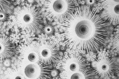 "Cell Constellation", Hand Cut, Laser Cut Paper Wall Relief Sculpture