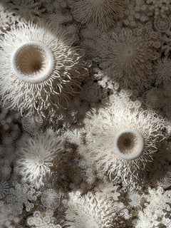 "Coral Mandala 2", scultura da parete in carta tagliata a mano e al laser