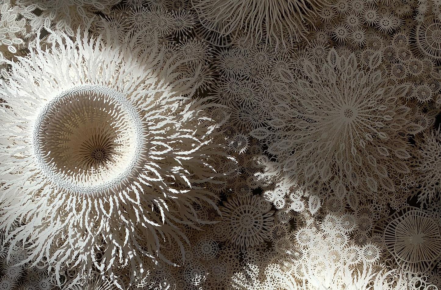 tom sachs mandala