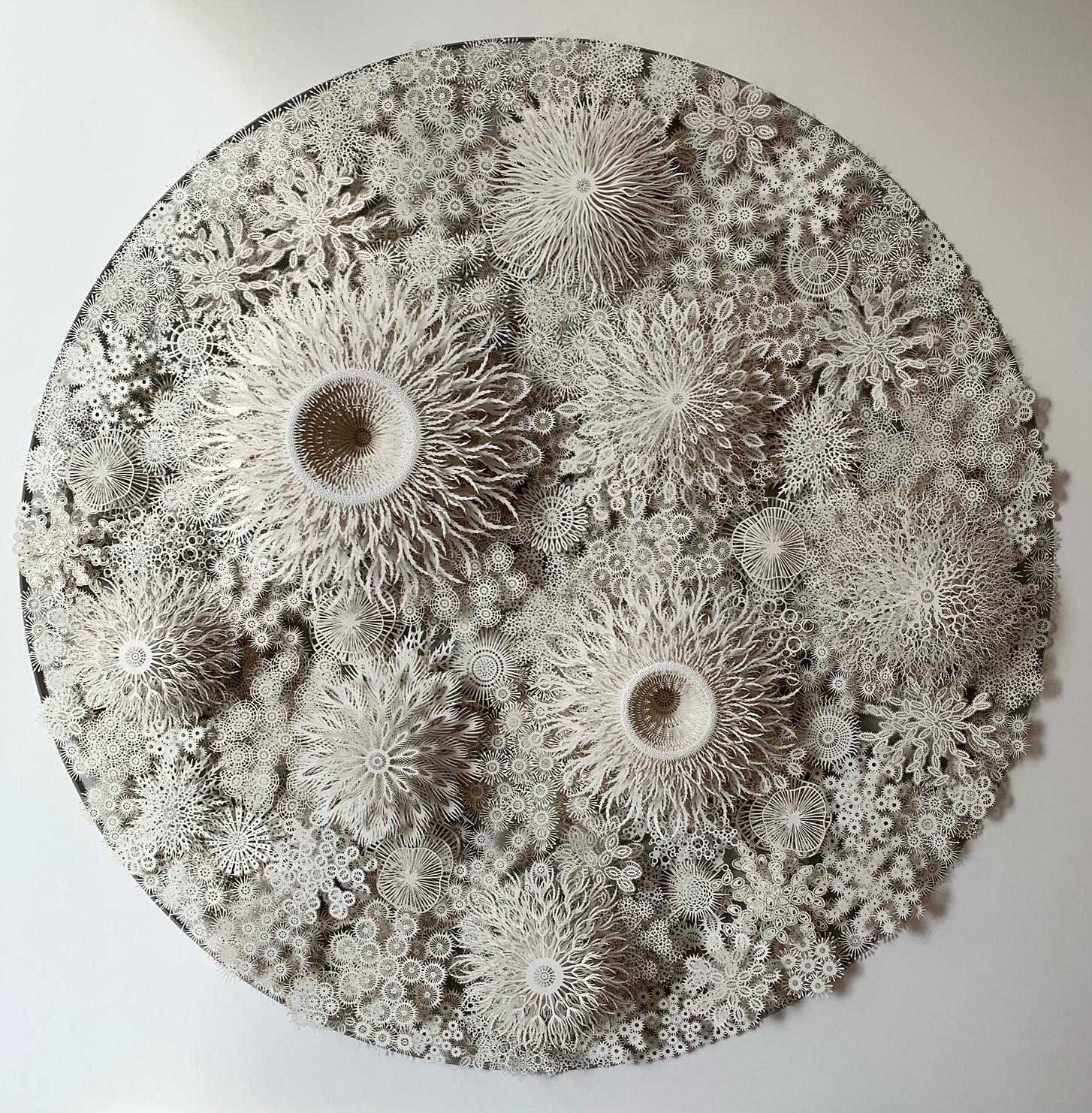 Rogan Brown Abstract Sculpture - "Coral Mandala 2", Hand Cut, Laser Cut Paper Wall Sculpture