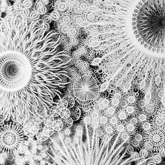 "Magic Circle Variation", scultura in rilievo su carta tagliata a mano e al laser