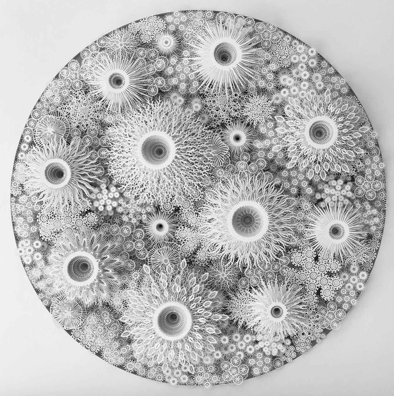 Abstract Sculpture di Rogan Brown - "Magic Circle Deep Cell Variation", scultura murale in carta tagliata a mano e al laser