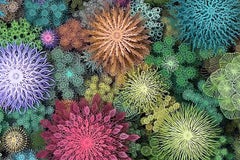 "Magic Circle Deep Color", Hand & Laser Cut Paper Wall Relief Sculpture