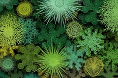 "Cerchio magico in verde", scultura organica da parete in carta tagliata a mano e tagliata al laser