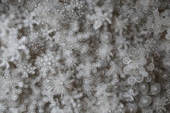 "Cerchio magico" Rogan Brown, scultura in rilievo su carta, pezzo scultoreo da parete