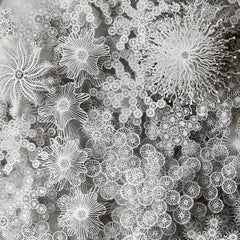 "Cerchio magico Sukha", scultura organica da parete in carta tagliata a mano e tagliata al laser