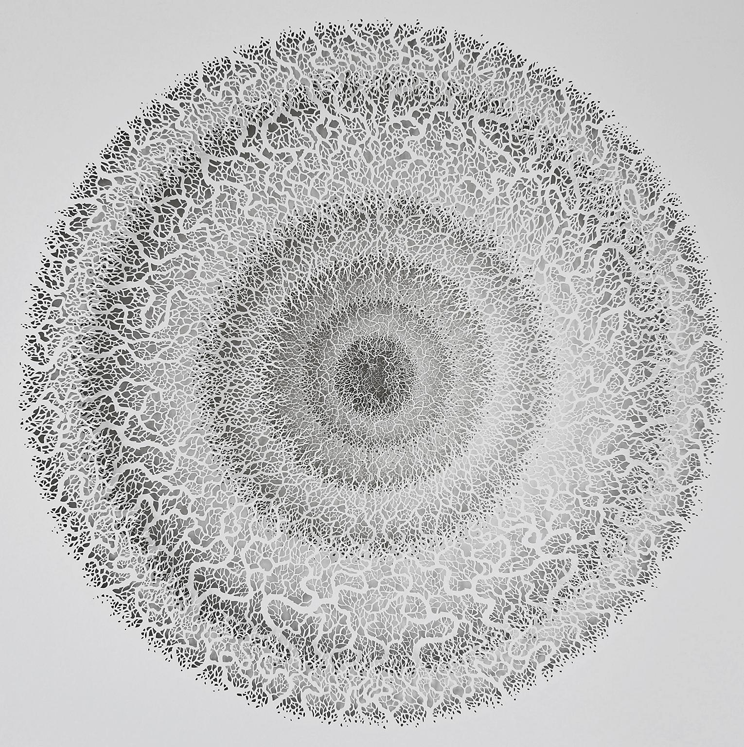 "Portal", Hand Cut, Laser Cut Paper Wall Relief Sculpture