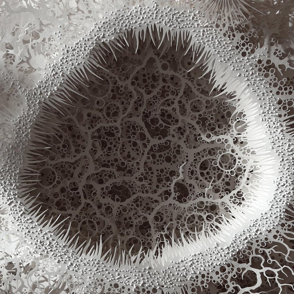„Reef Cell“, organische, abstrakte Wandrelief-Skulptur, handgeschnittenes, lasergeschnittenes Papier – Sculpture von Rogan Brown
