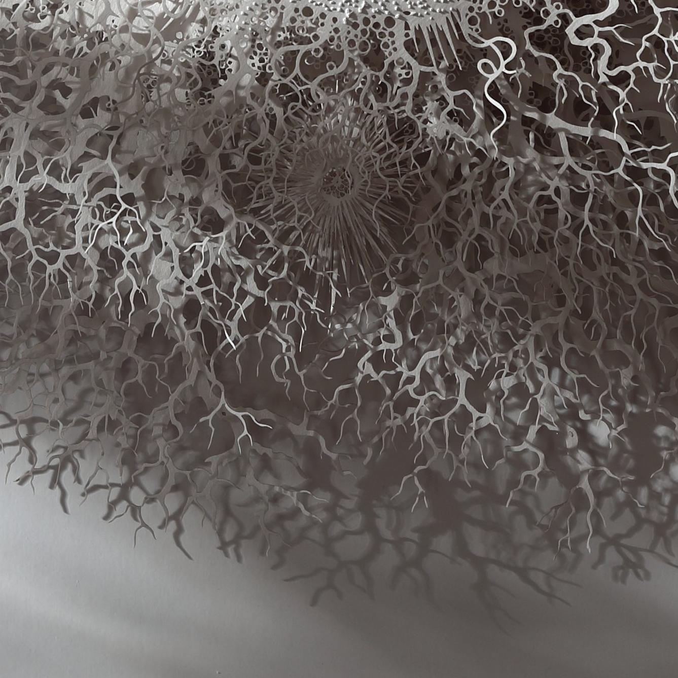 „Reef Cell“, organische, abstrakte Wandrelief-Skulptur, handgeschnittenes, lasergeschnittenes Papier (Abstrakt), Sculpture, von Rogan Brown