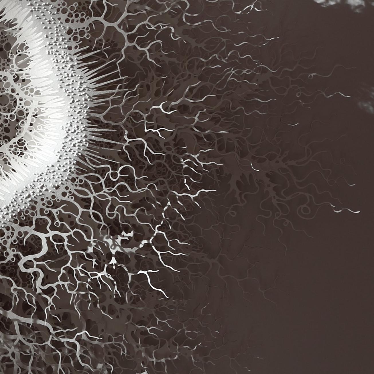 „Reef Cell“, organische, abstrakte Wandrelief-Skulptur, handgeschnittenes, lasergeschnittenes Papier (Grau), Abstract Sculpture, von Rogan Brown
