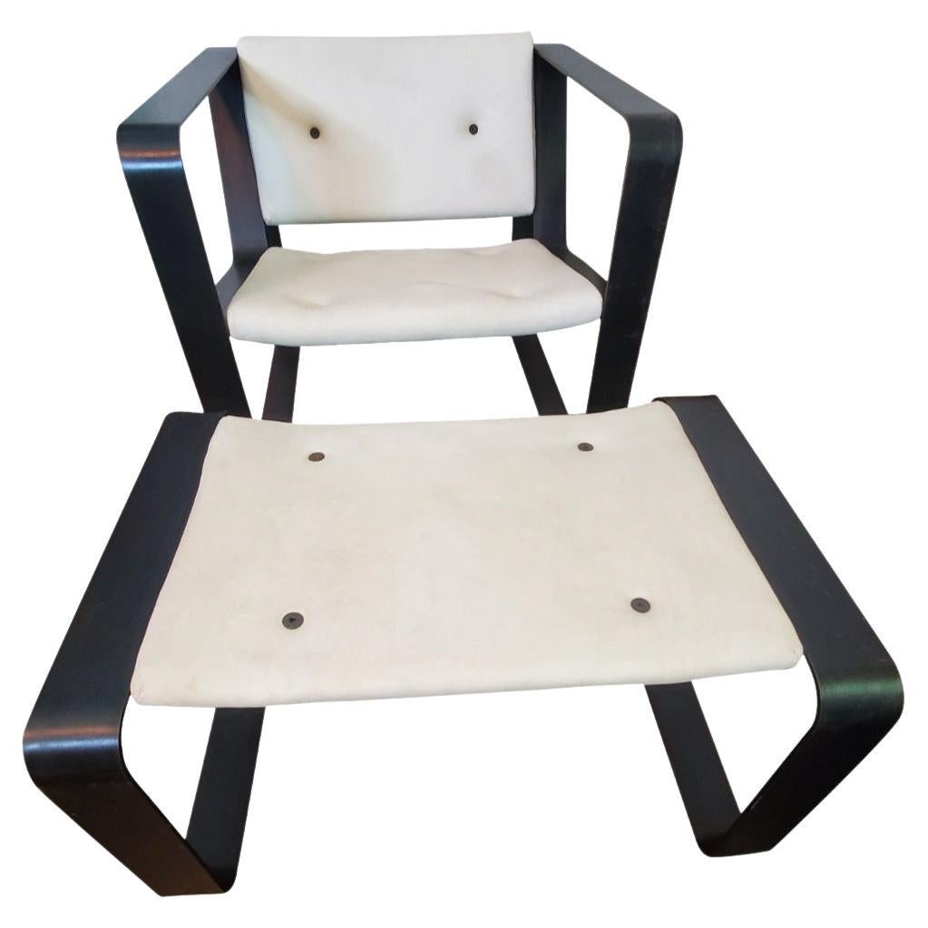 Rogan Objects Chair AND Ottoman