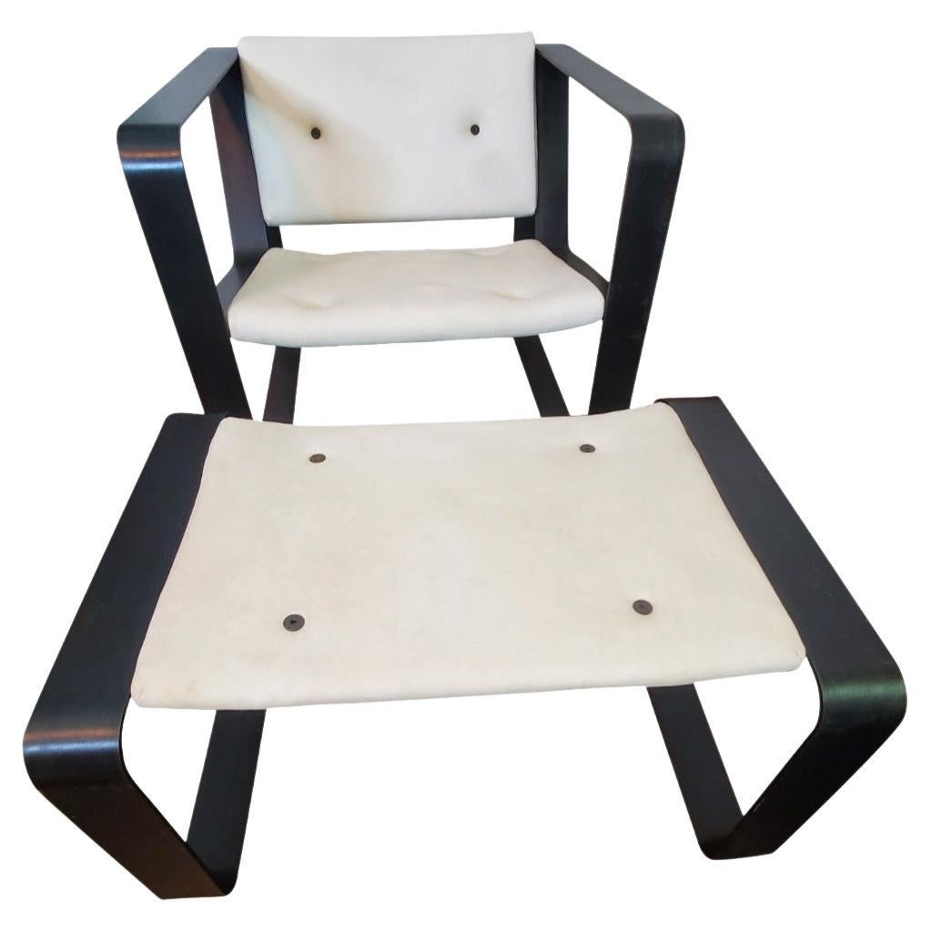 Rogan Objects Chair AND Ottoman  For Sale