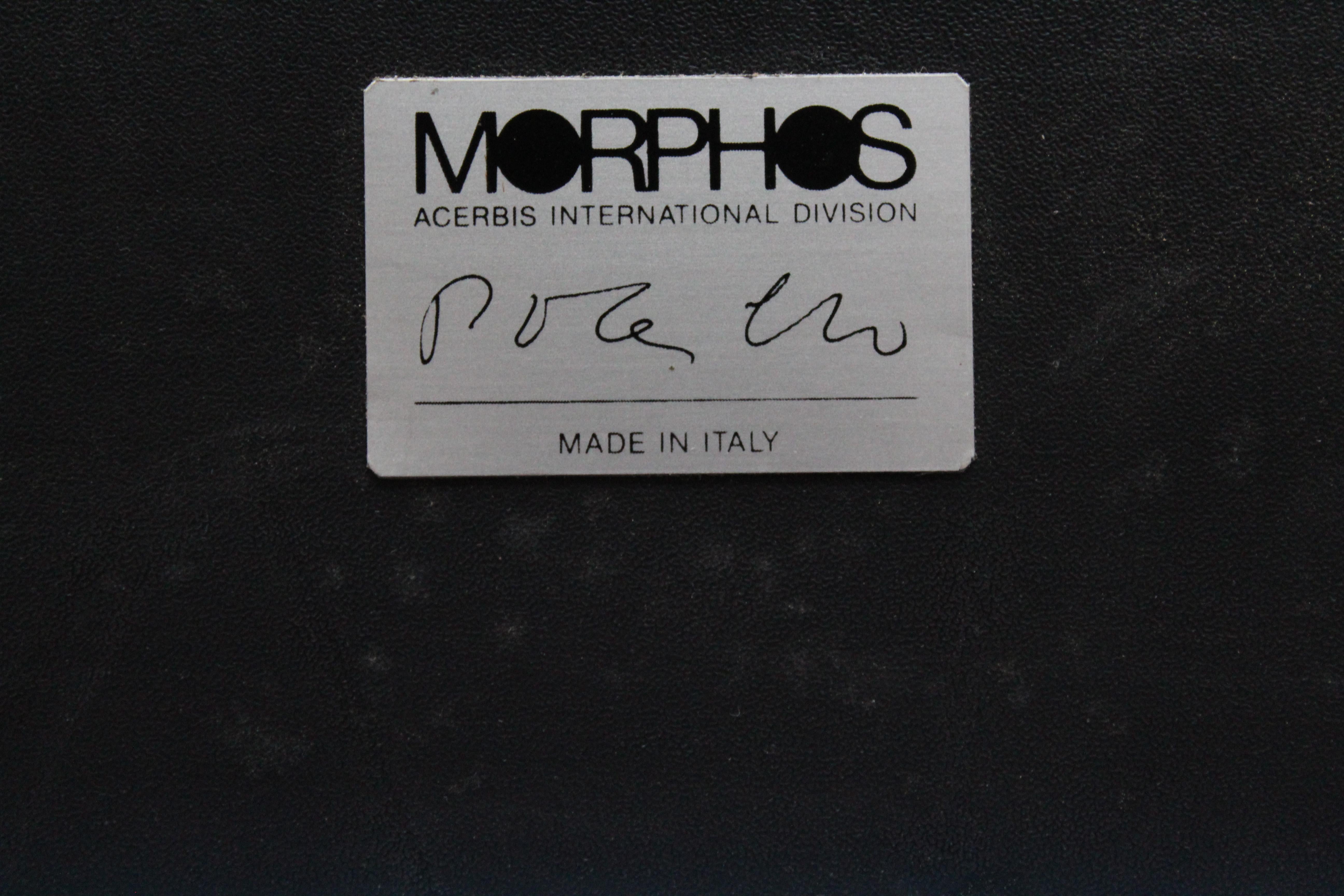 Modern Design Wall Mirror Rogelio Polesello for Morphos by Acerbis 1970s  15