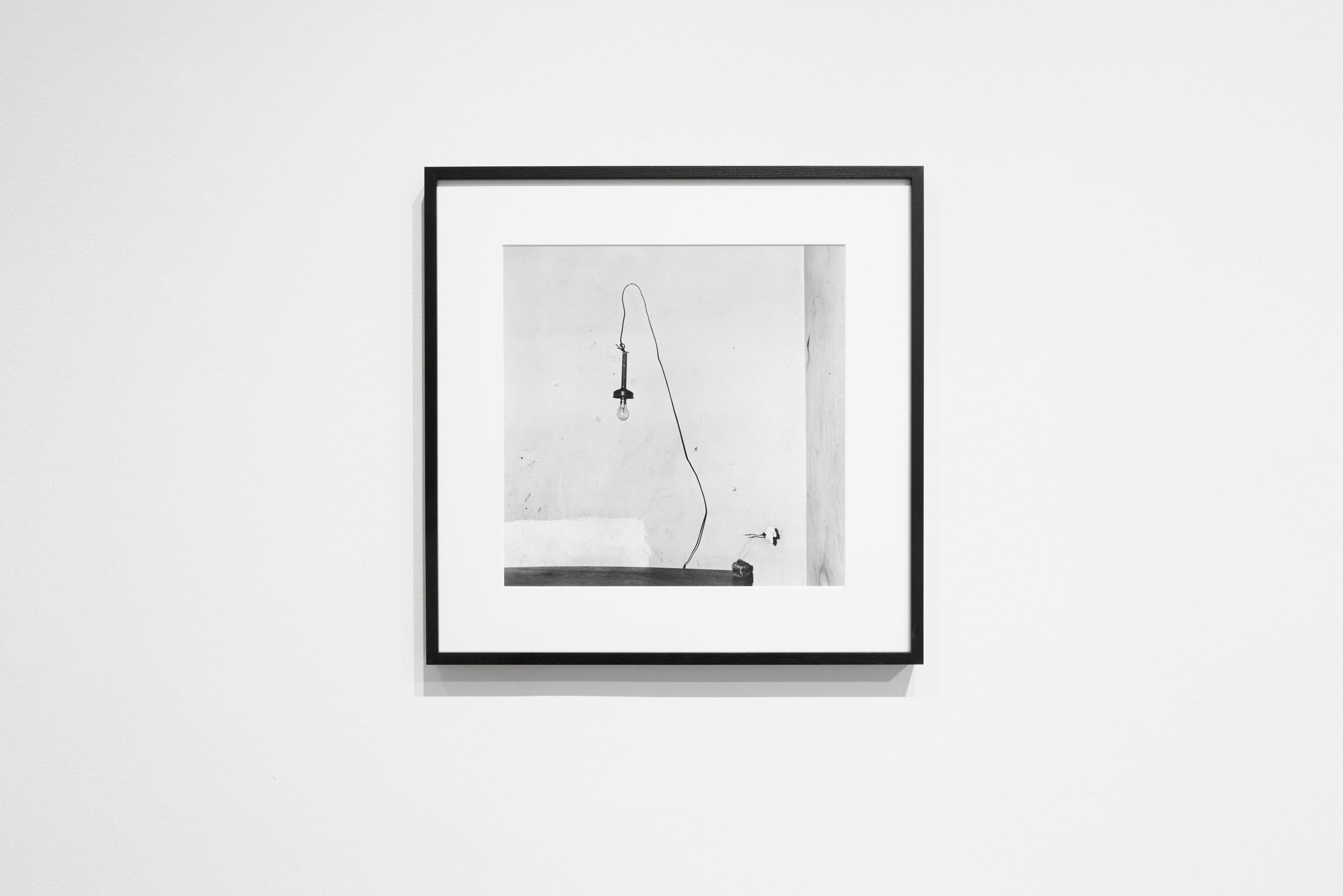 Verlassene Blume - Roger Ballen, Schwarz und Weiß, Inszeniert, Vintage Fotografie im Angebot 1