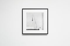 Abandoned Flower – Roger Ballen, Black and White, Staged, Vintage Photography