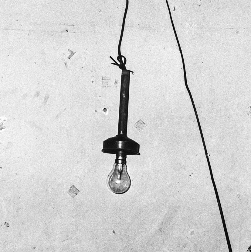Verlassene Blume - Roger Ballen, Schwarz und Weiß, Inszeniert, Vintage Fotografie im Angebot 3